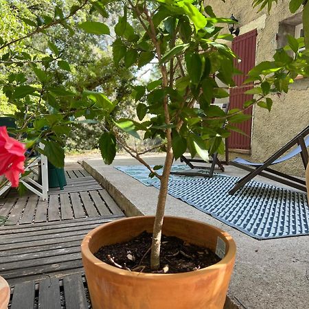 Source D'Harmonie L'Ecureuil Terres Rouges La Rocaille L'Olivier Διαμέρισμα Meyreuil Εξωτερικό φωτογραφία